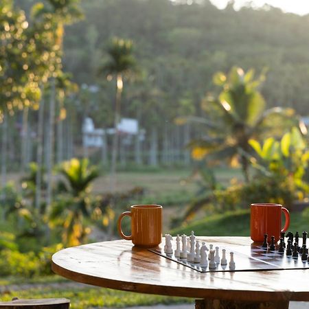 Stayvista At The Big Chill With Breakfast Included Wayanad Eksteriør billede